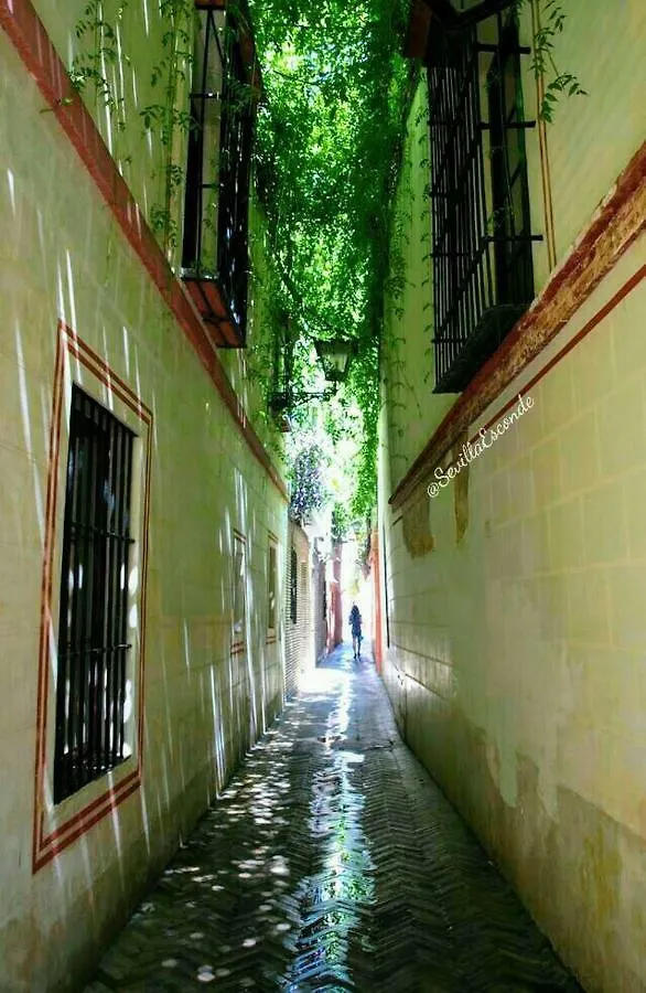 Casa Flores Villa Seville 0*,